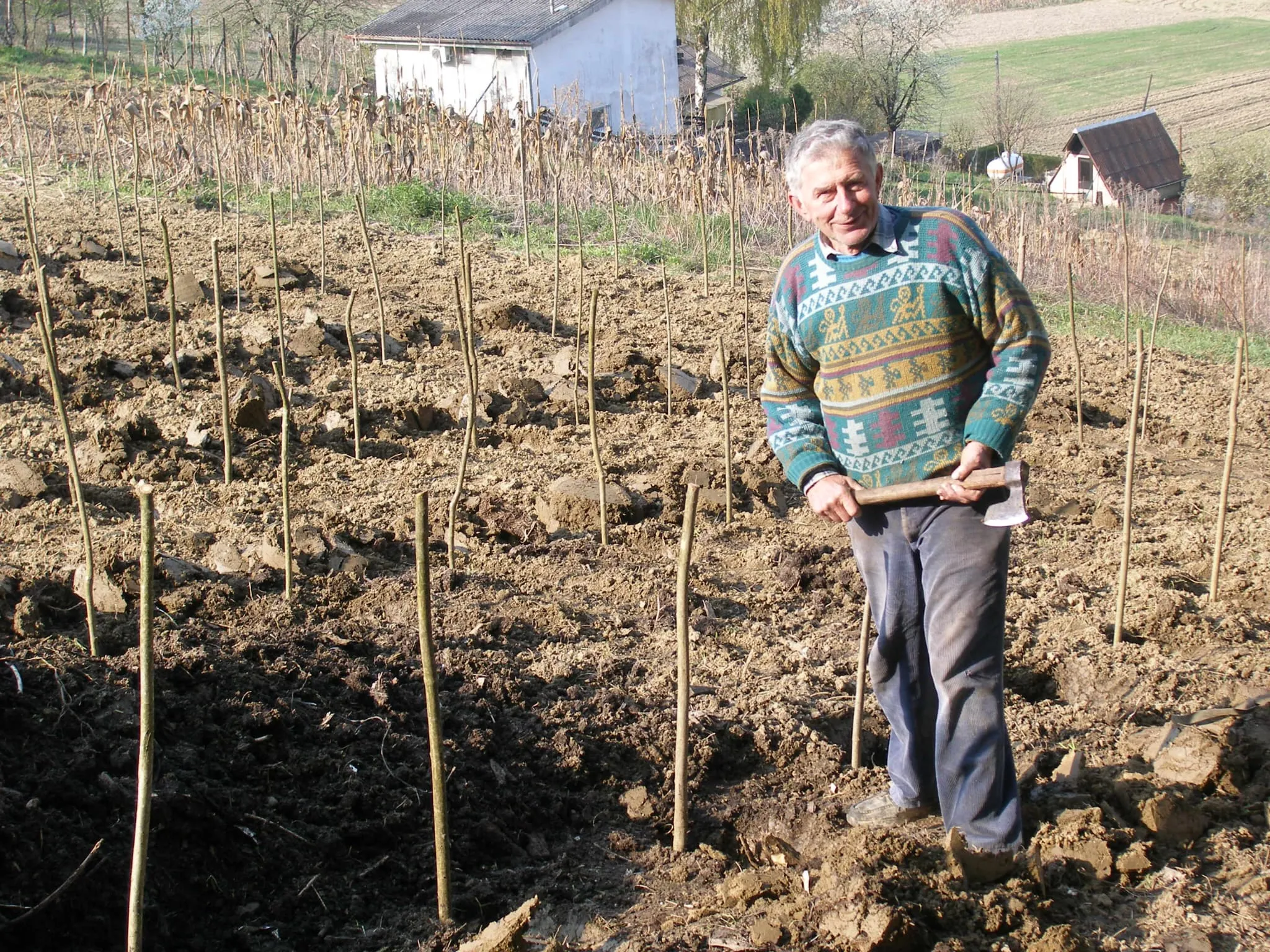 Sadnja vinograda Stružnjak 2010
