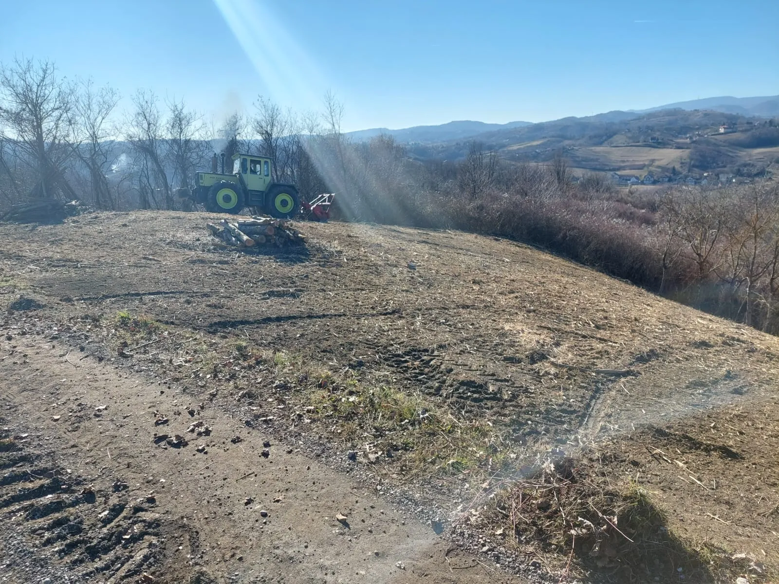 Osnivanje vinograda Trijem